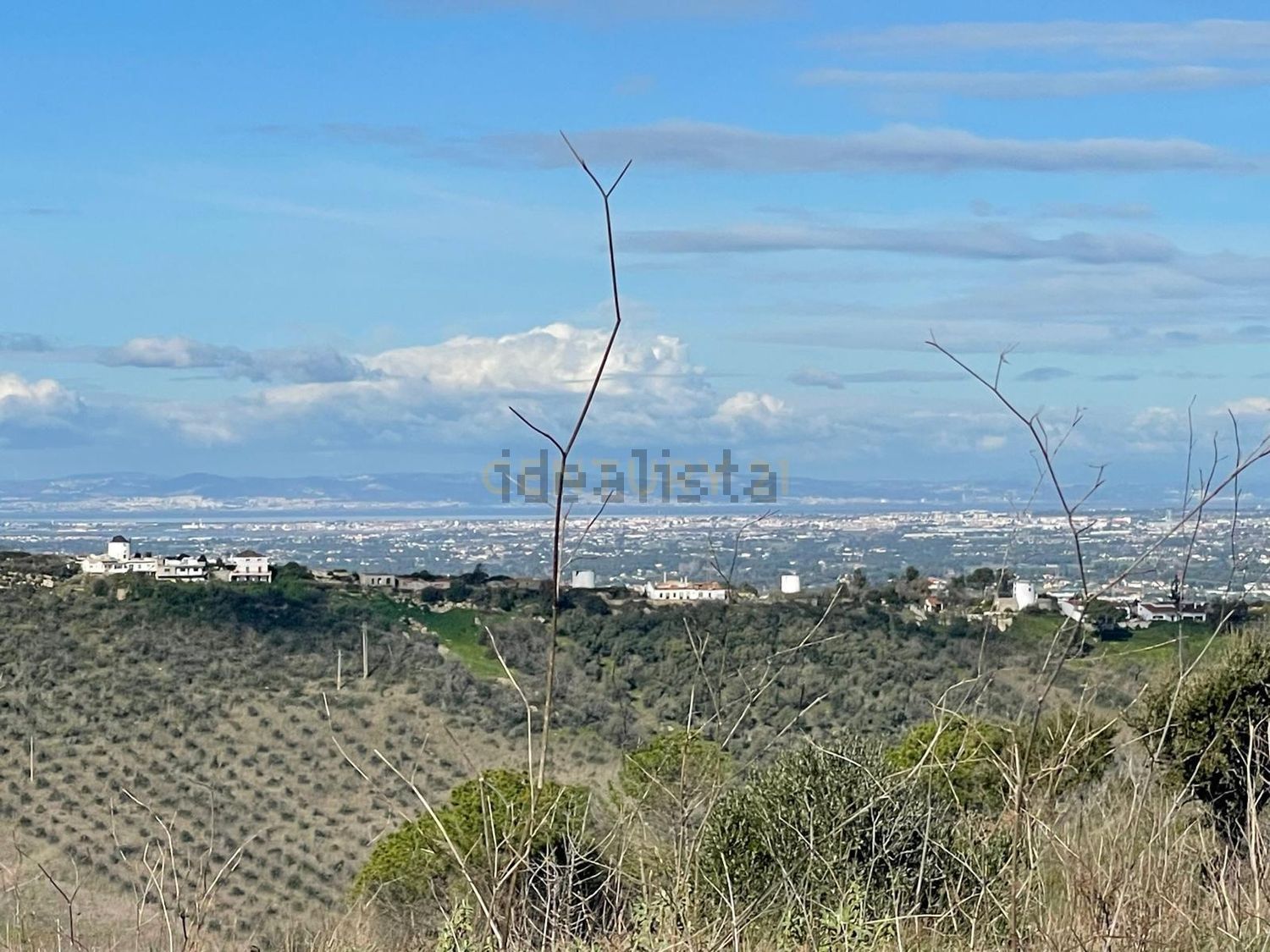 庄园出售Cm1052 s/n - 视线