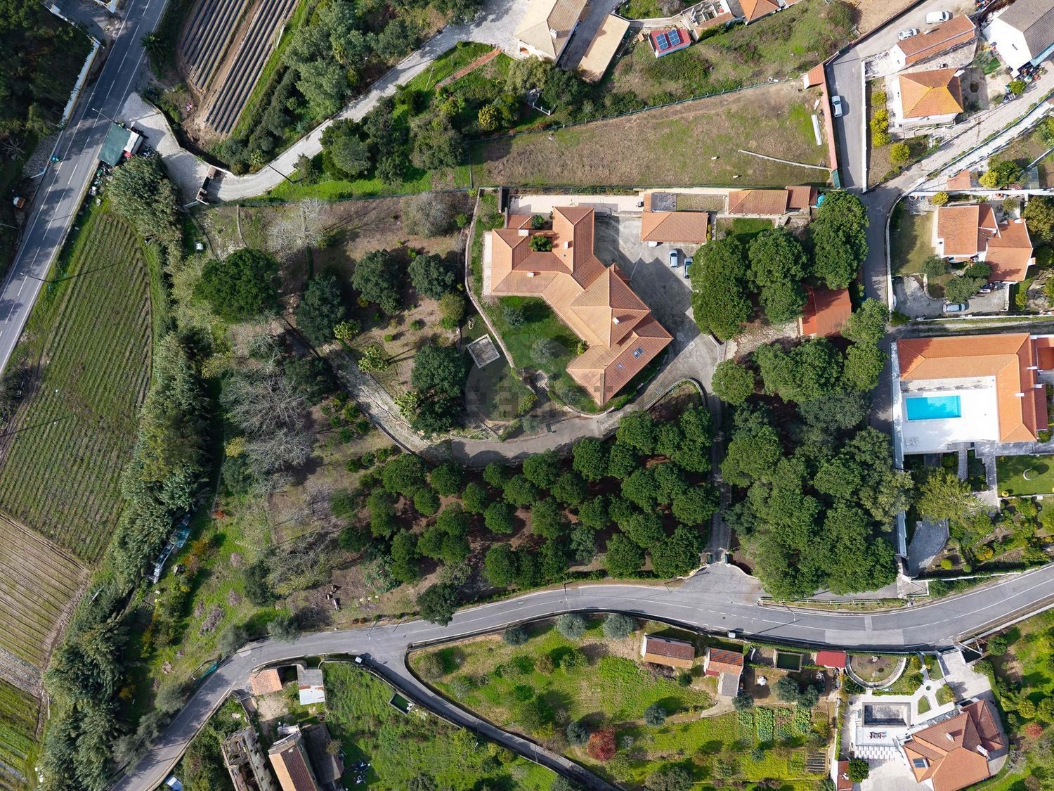 庄园出售在Rua da Varzea - 照片