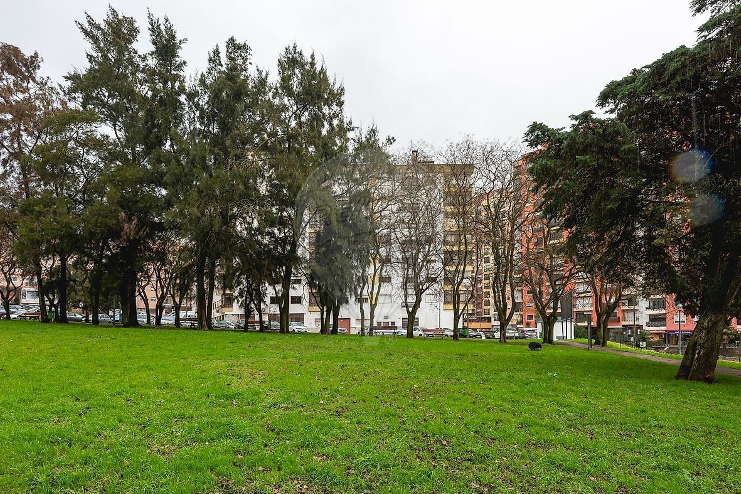 公寓 t3出售在Praceta dos Lírios - 花园