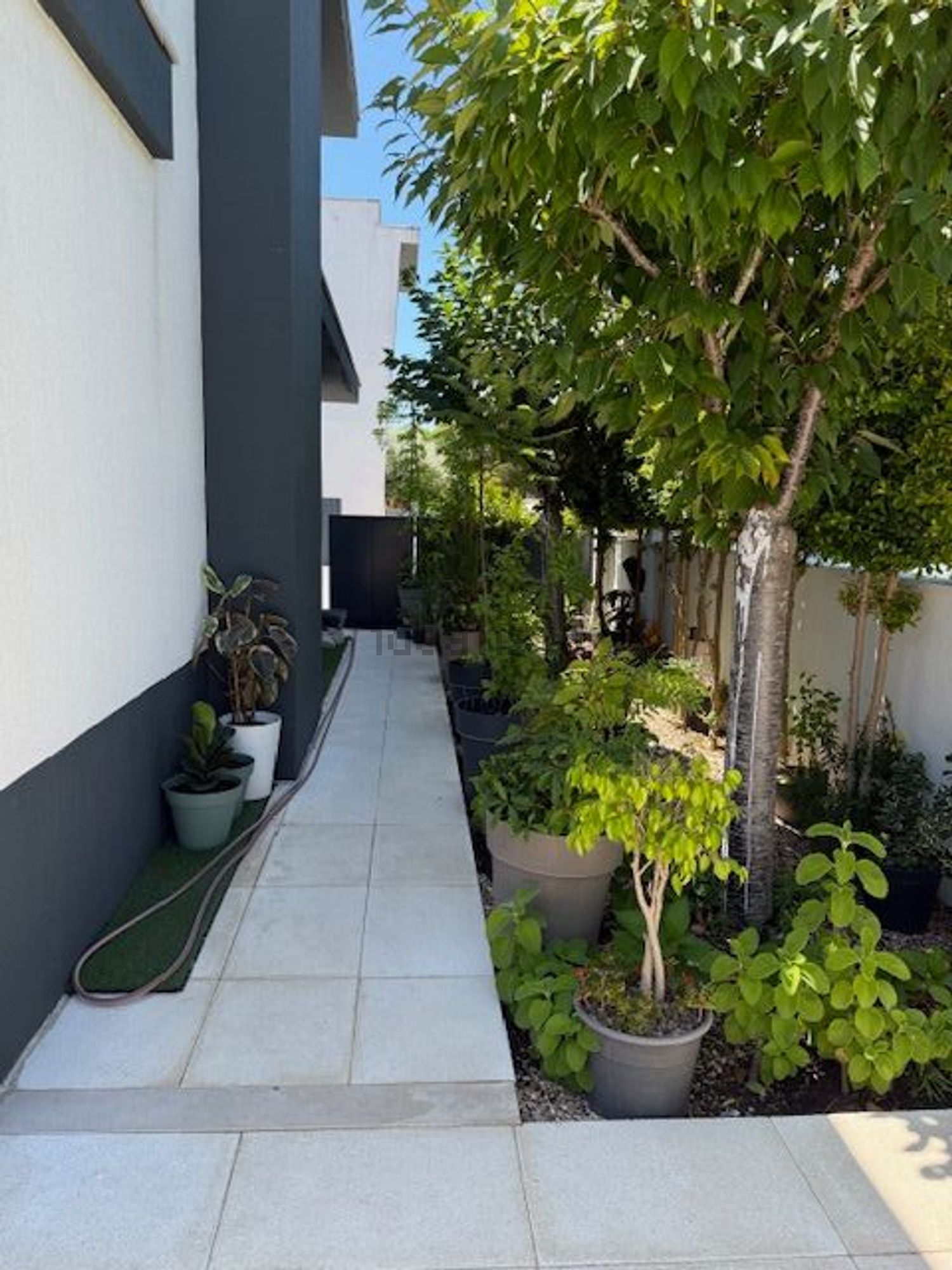 小楼房或独栋别墅出售Azeitão Sn - 照片