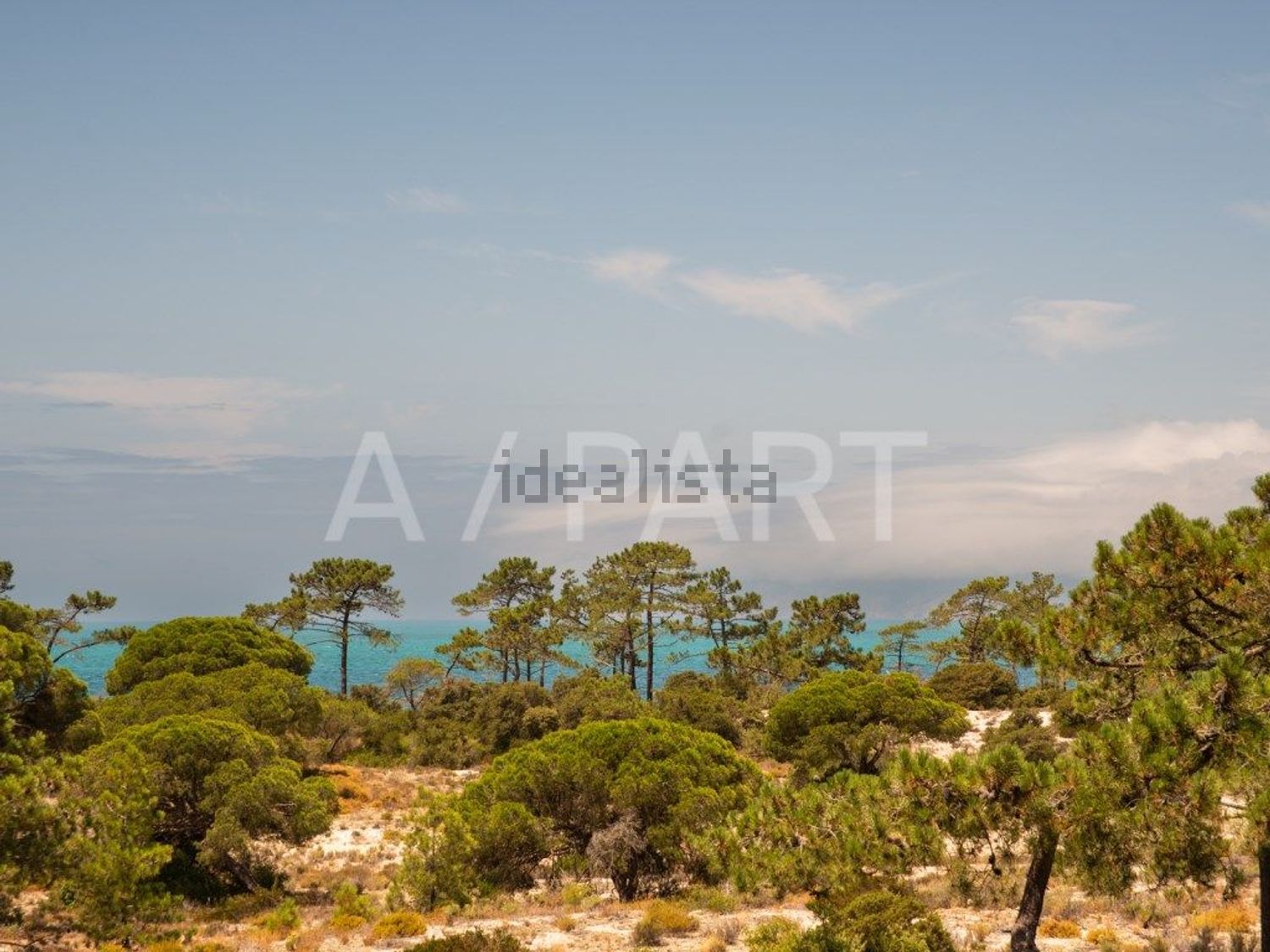 公寓 t3出售在Estrada Nacional 253, 1 - 视线