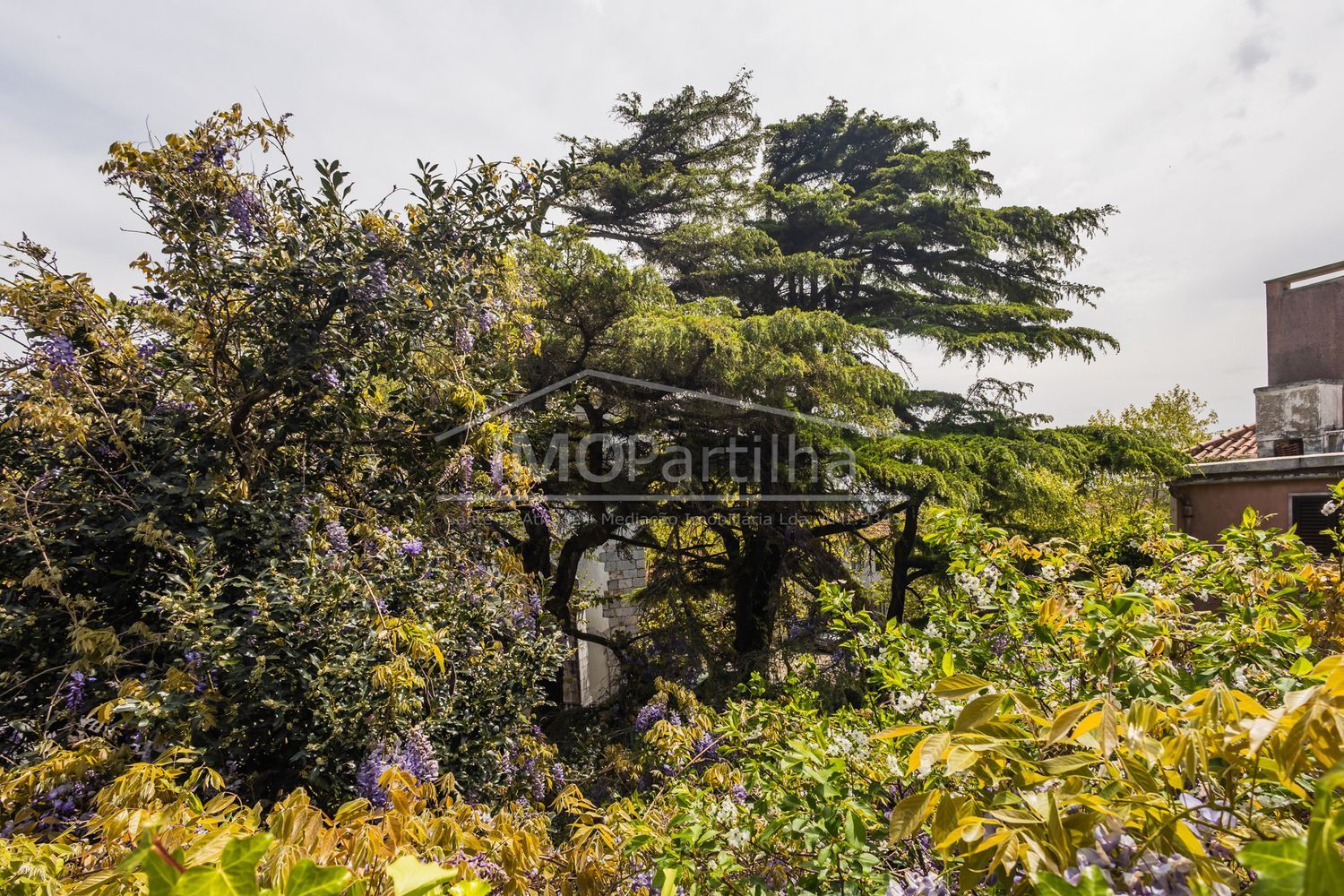 小楼房或独栋别墅出售在Rua Serpa Pinto - 花园