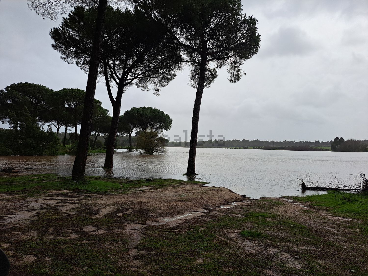 庄园出售António Aleixo, 204 2985-156, 204 - 视线