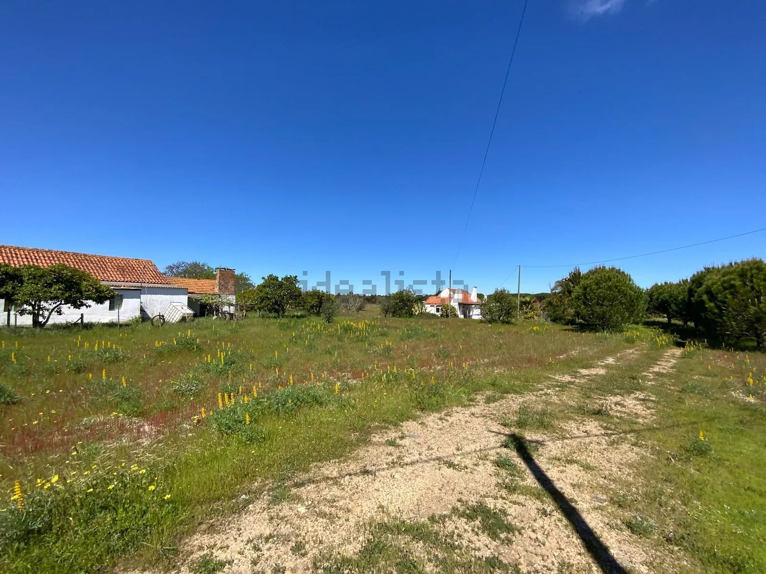 小楼房或独栋别墅出售Grandola - 视线