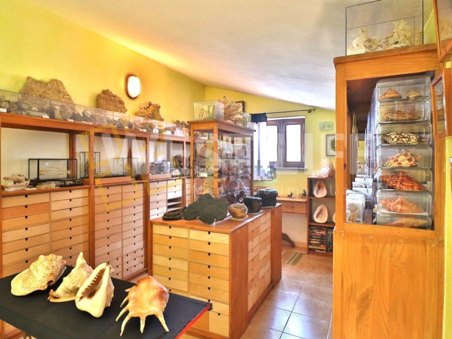 小楼房或独栋别墅出售在Centro - 客厅