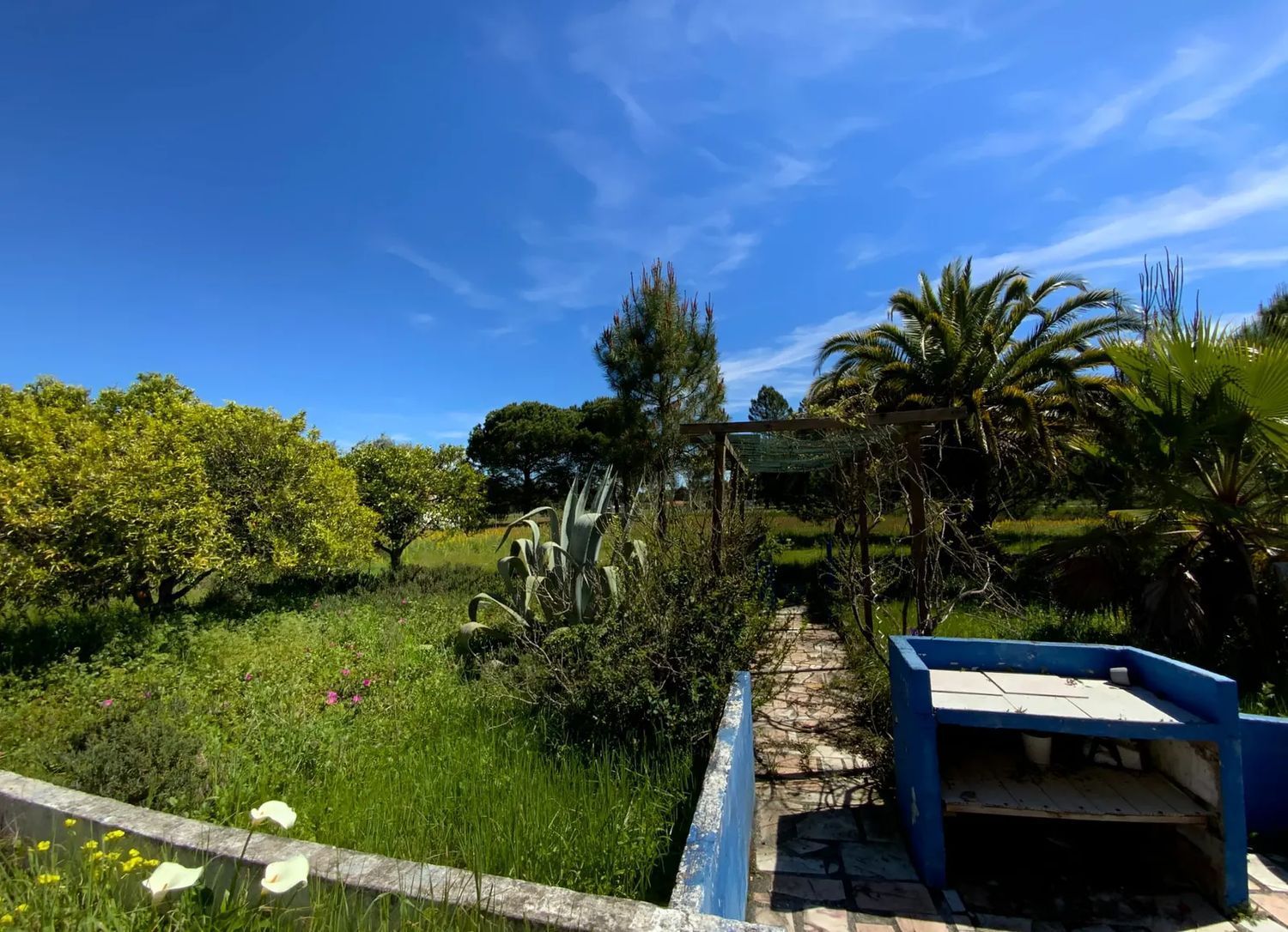 小楼房或独栋别墅出售Grandola - 花园