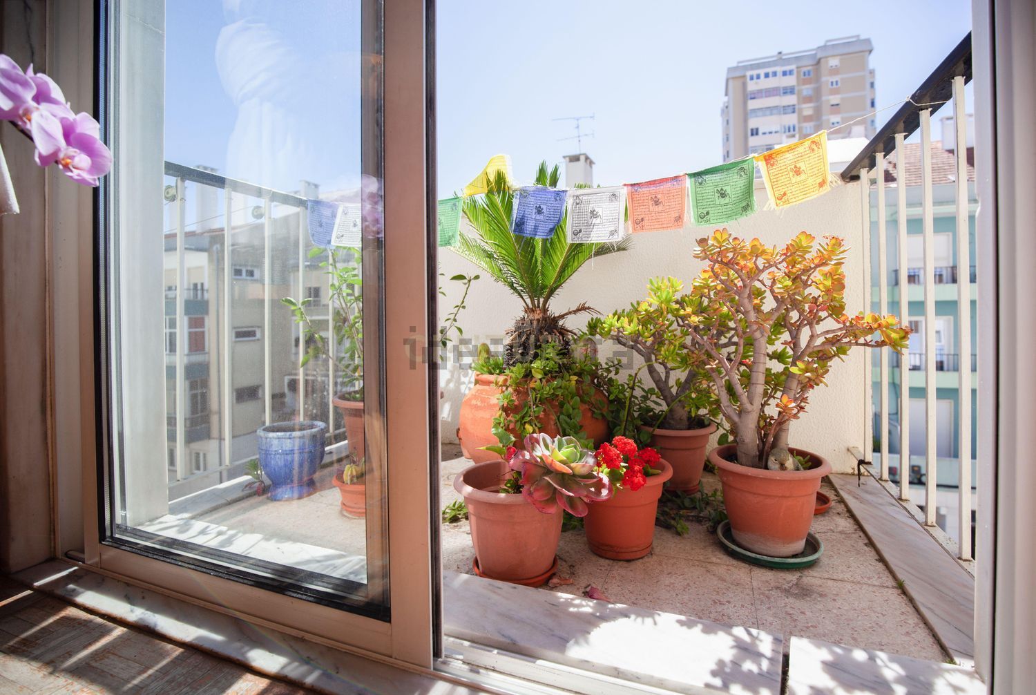 公寓 t3出售在Rua Montepio Geral s/n - 阳台