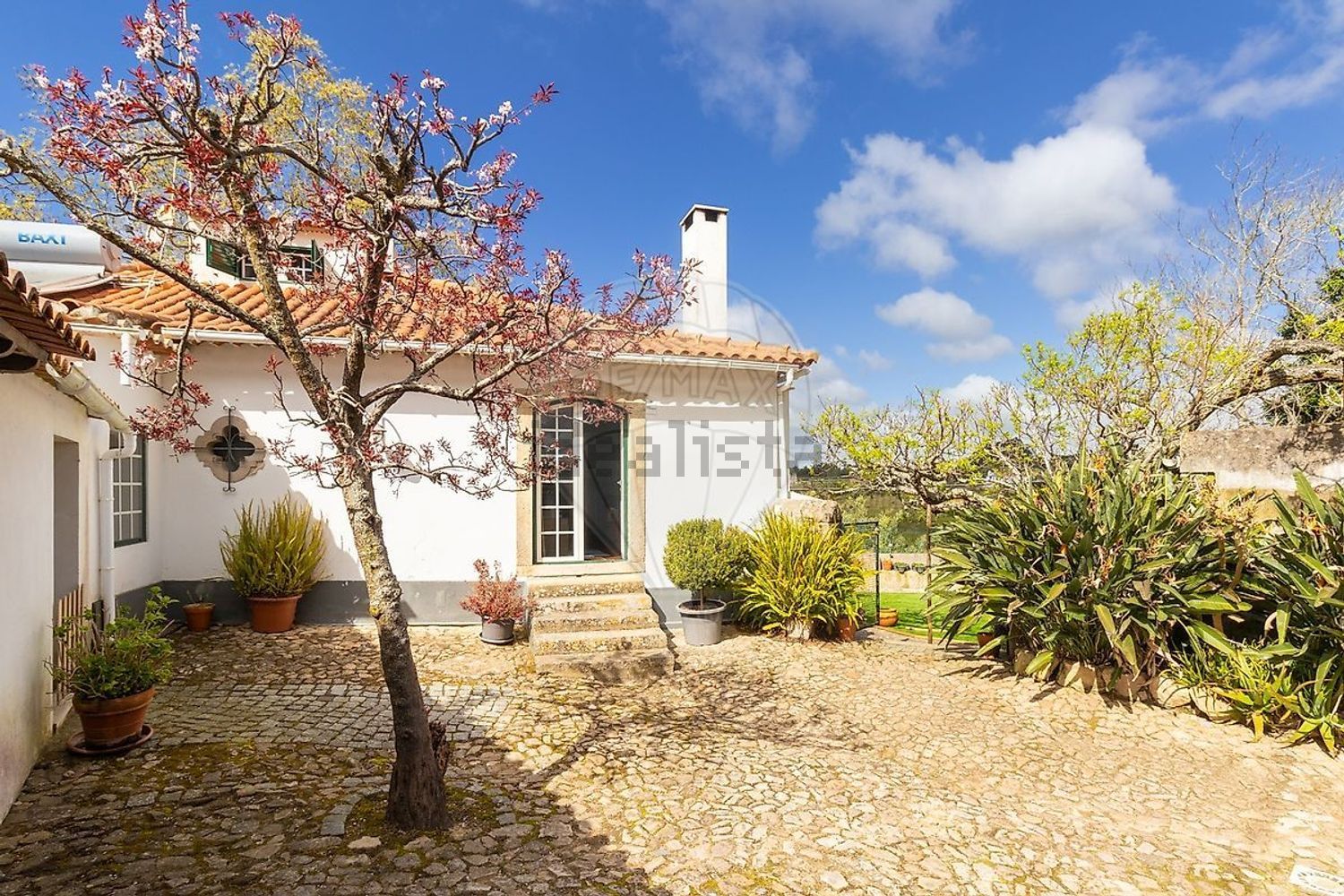 小楼房或独栋别墅出售在Rua António Rodrigues Pimenta - 外立面