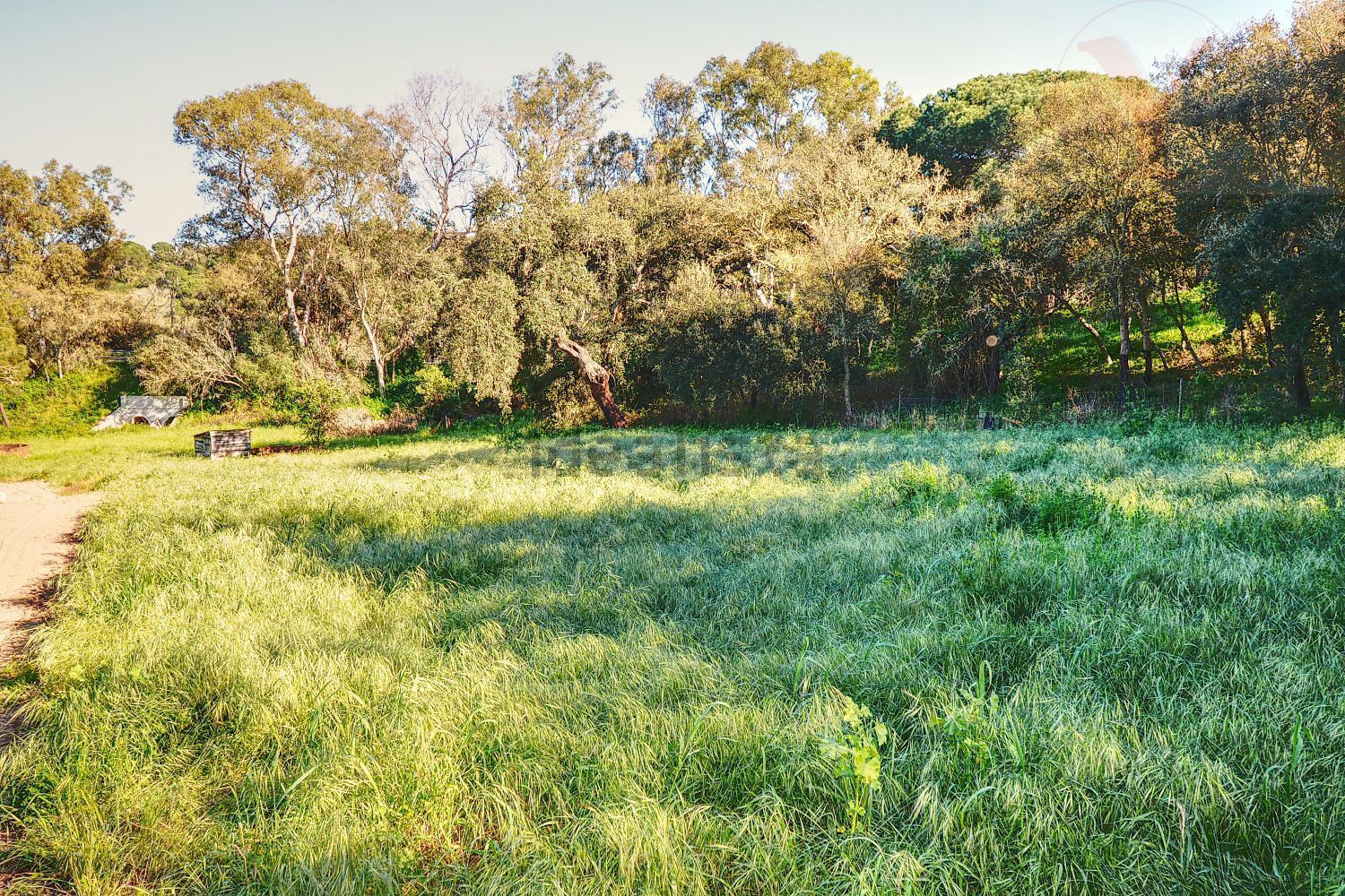 庄园出售在Melides - 花园