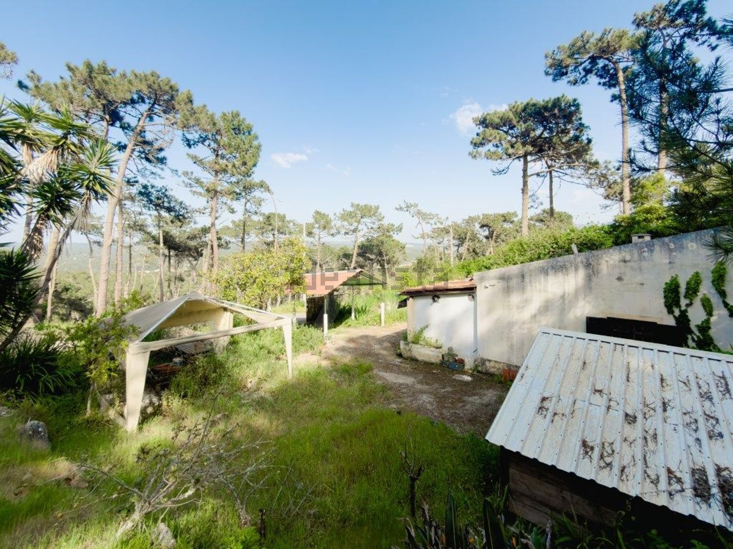 小楼房或独栋别墅出售在Rua do Cabeço do Barro - 花园