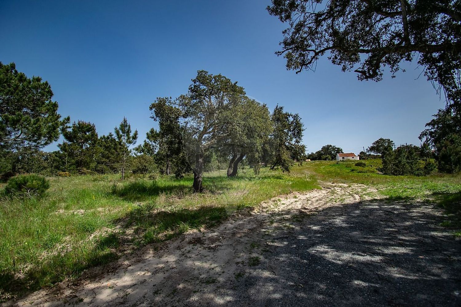 小楼房或独栋别墅出售Er261 - 花园