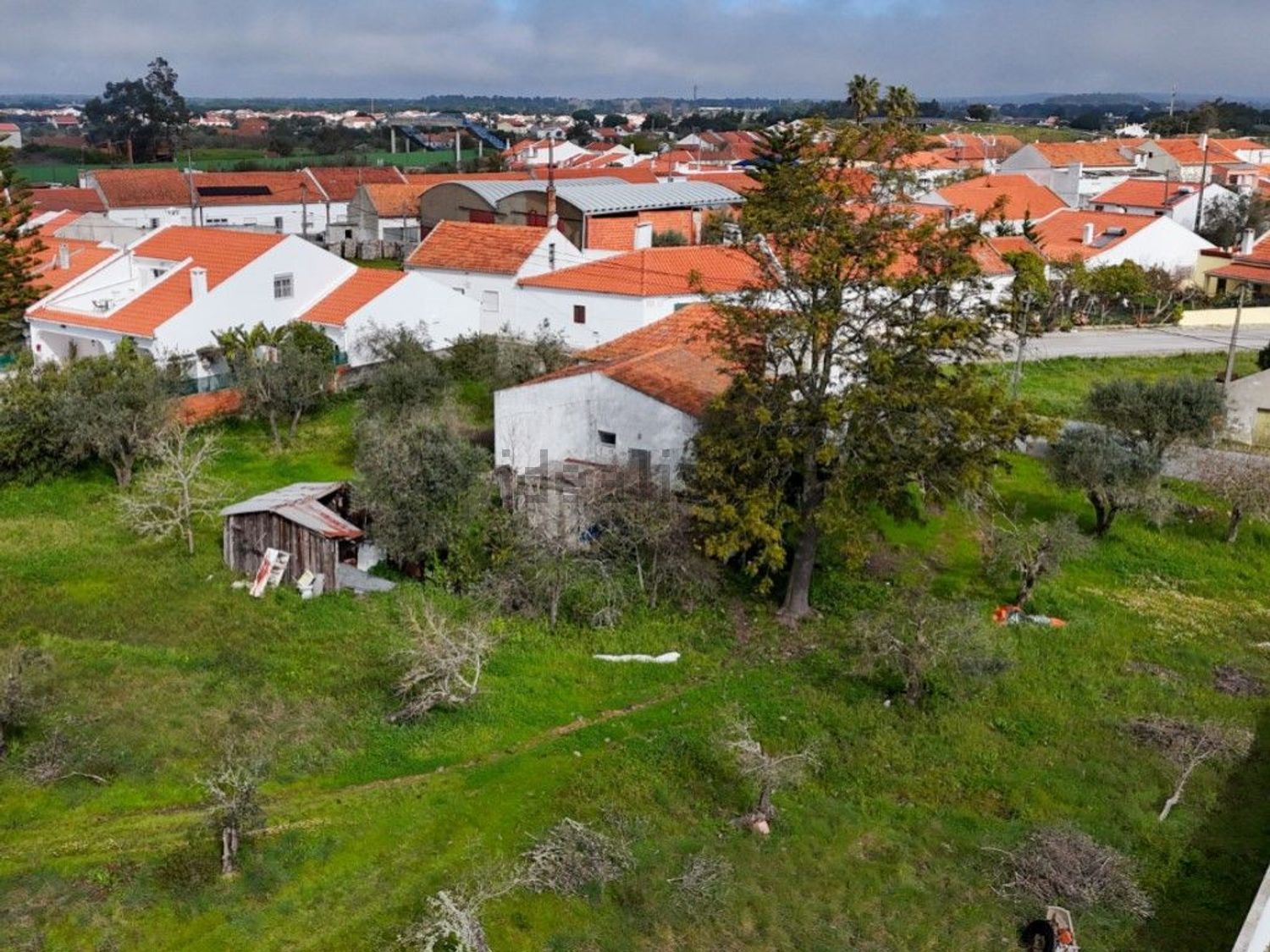 庄园出售在Rua José Dias Coelho, 9 - 照片