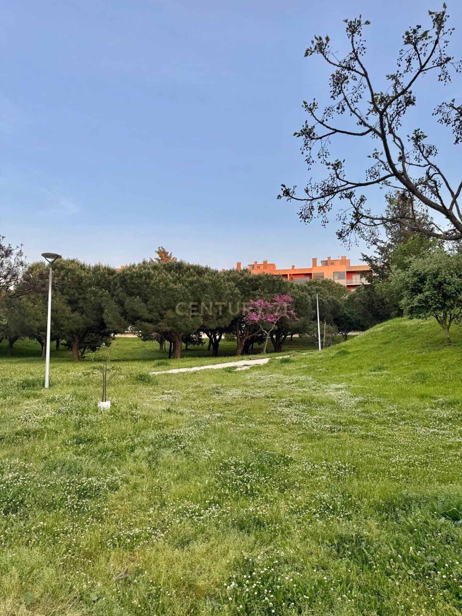 出租公寓 t3在Praceta Francisco Pulido Valente, 10 - 花园