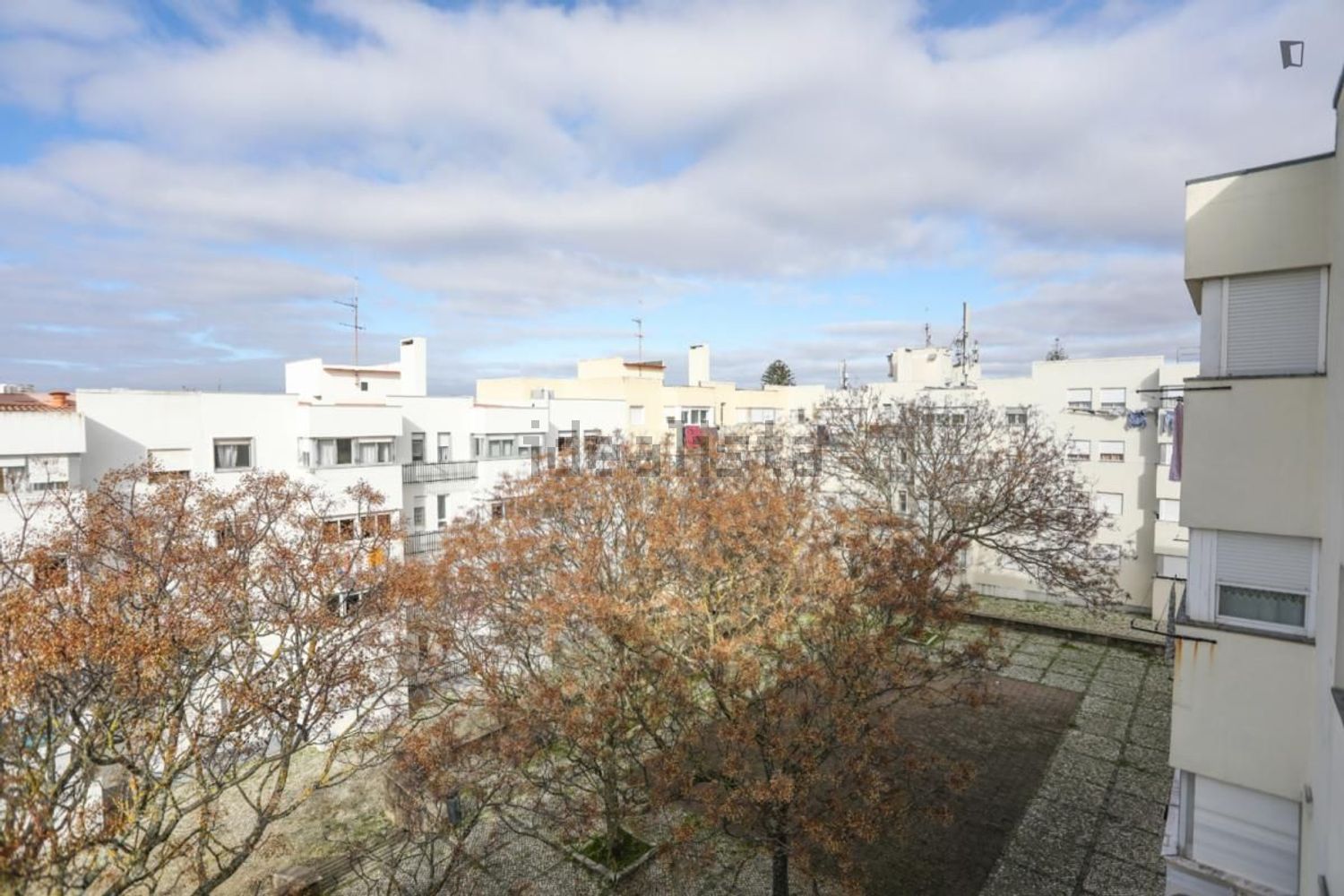 出租房间在Rua Guiomar Torresão - 视线