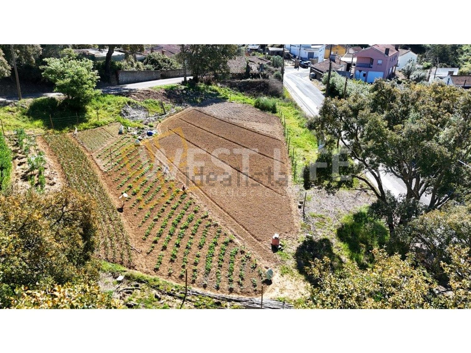 小楼房或独栋别墅出售在Avenida Catarina Eufémia - 照片