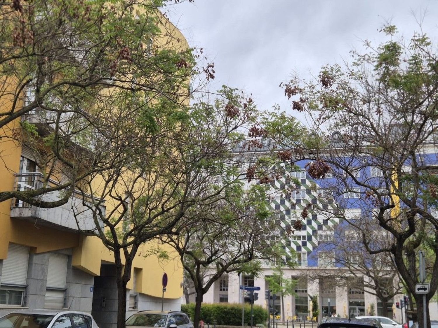 出租公寓 t4在Rua da Nau Catrineta, 7 - 视线