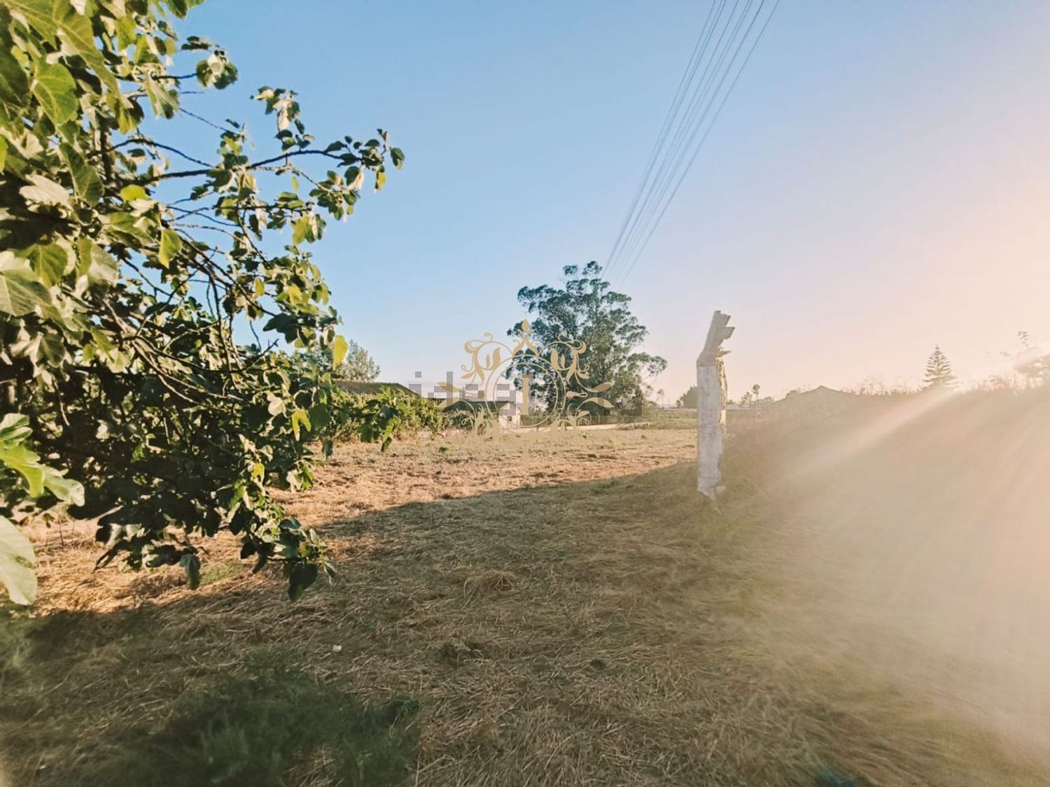 小楼房或独栋别墅出售在Poceirão e Marateca - 花园