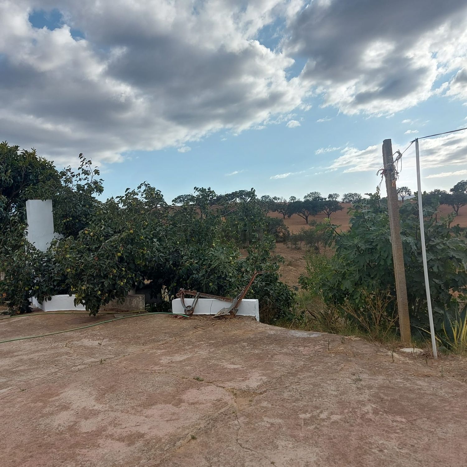 阿连特茹山出售Zona rural de Cercal do Alentejo Zonarural - 花园