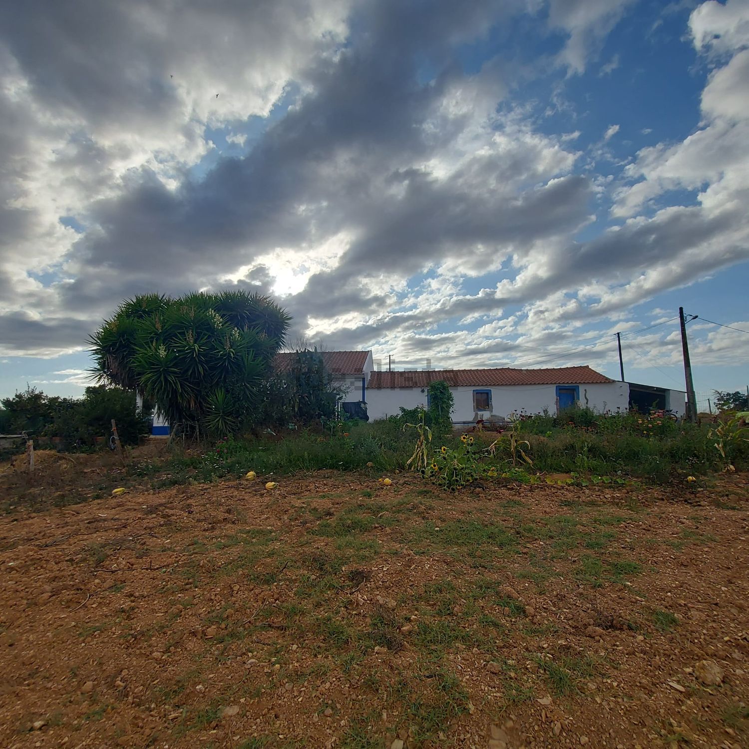 阿连特茹山出售Zona rural de Cercal do Alentejo Zonarural - 花园
