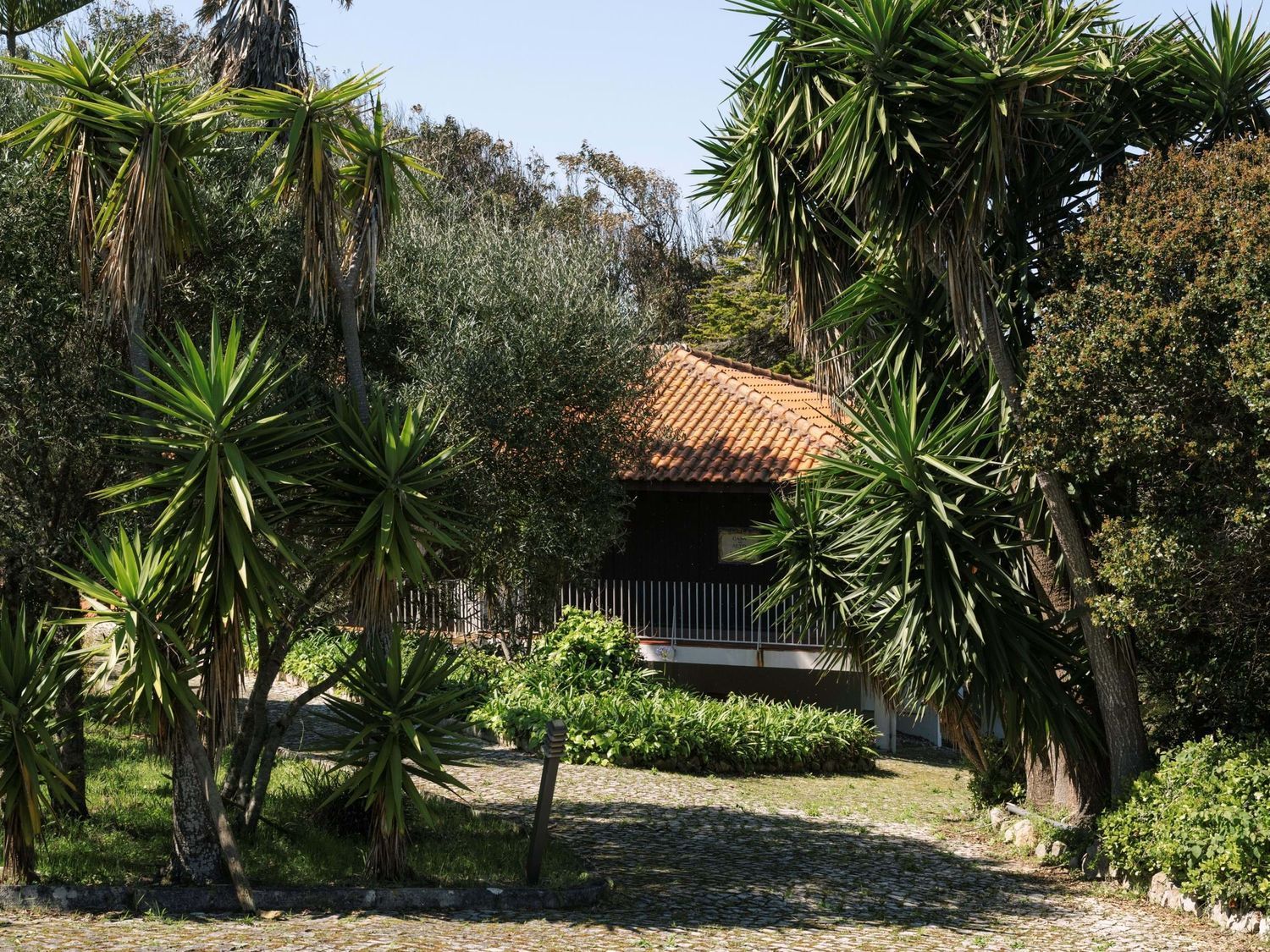 小楼房或别墅出售在Azenhas do Mar - Praia das Maças - Praia Grande - 花园