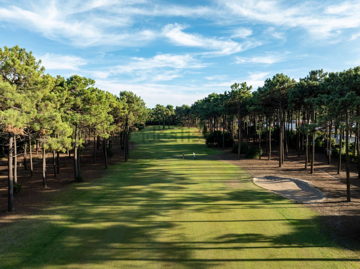 出租小楼房或独栋别墅在Rua das Margaridas, 20 - 周边