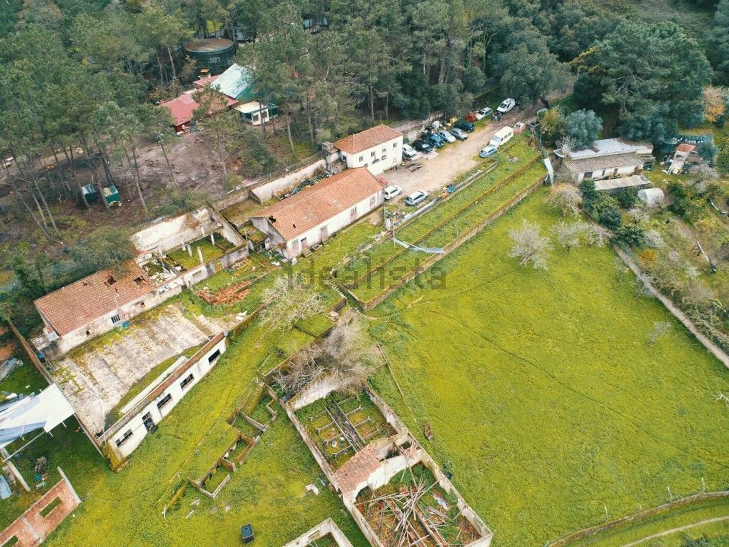 庄园出售在Lousa - 视线