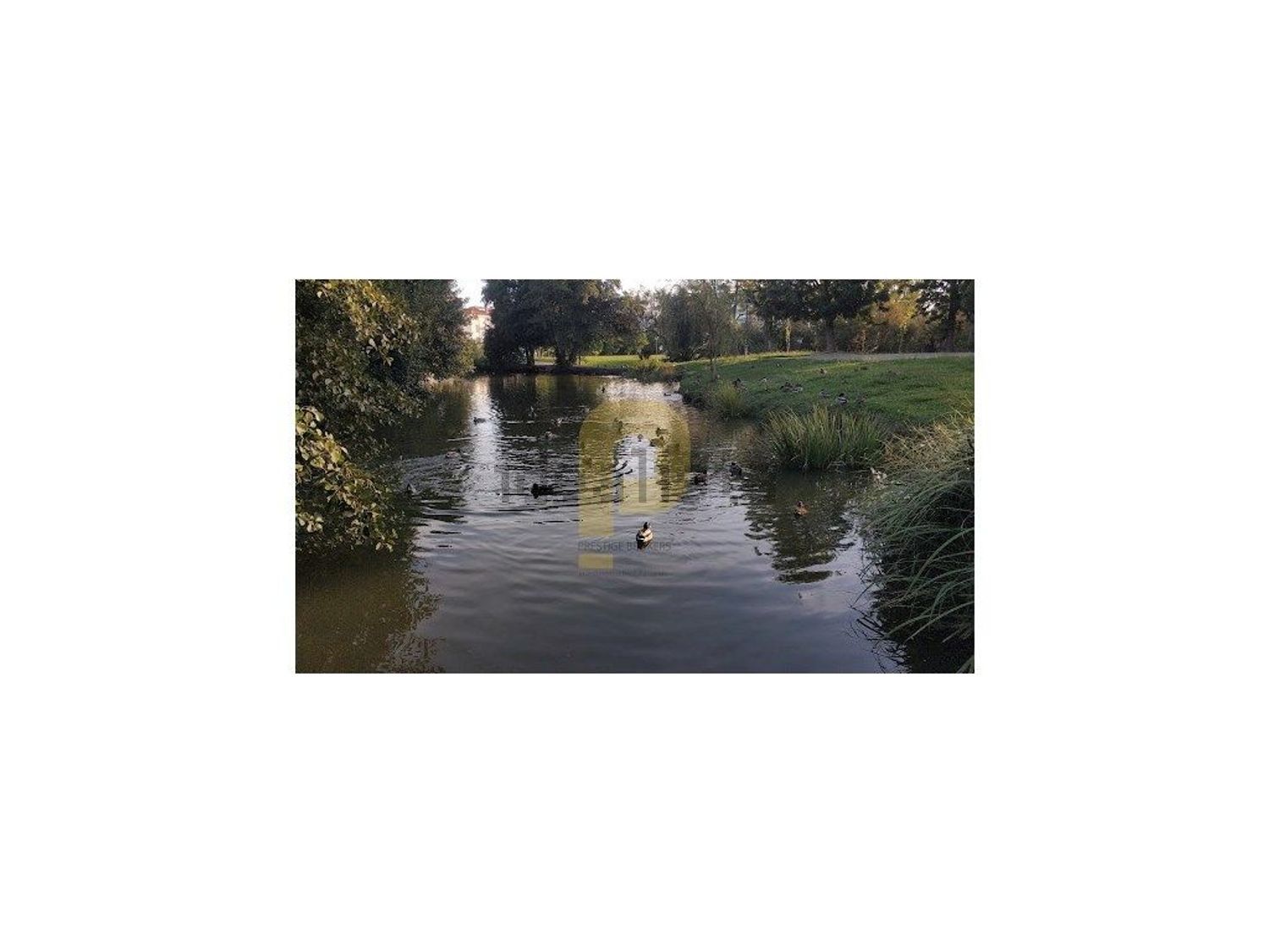 庄园出售在Atalaia e Alto Estanqueiro - Jardia - 照片