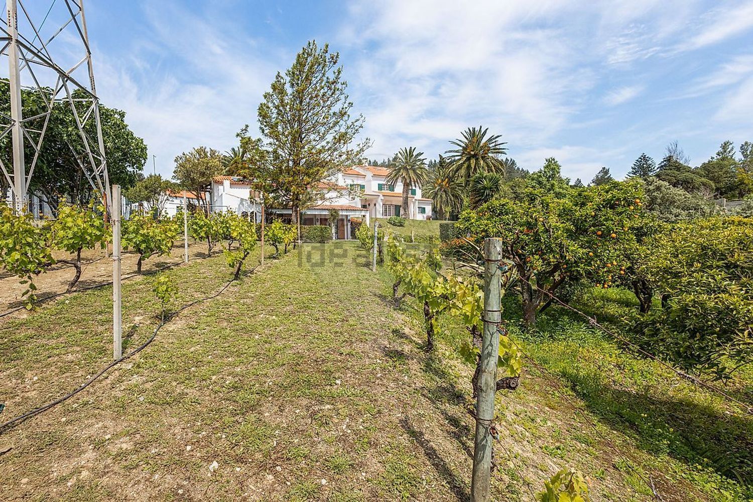 小楼房或独栋别墅出售Estr. da Serralheira de Baixo - 花园