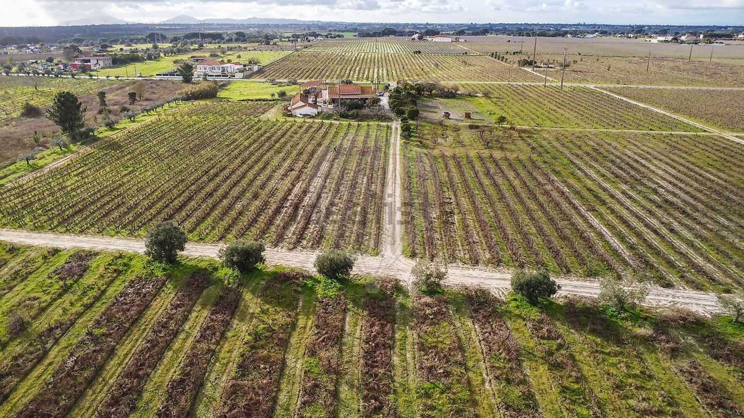 庄园出售在Poceirão e Marateca - 花园