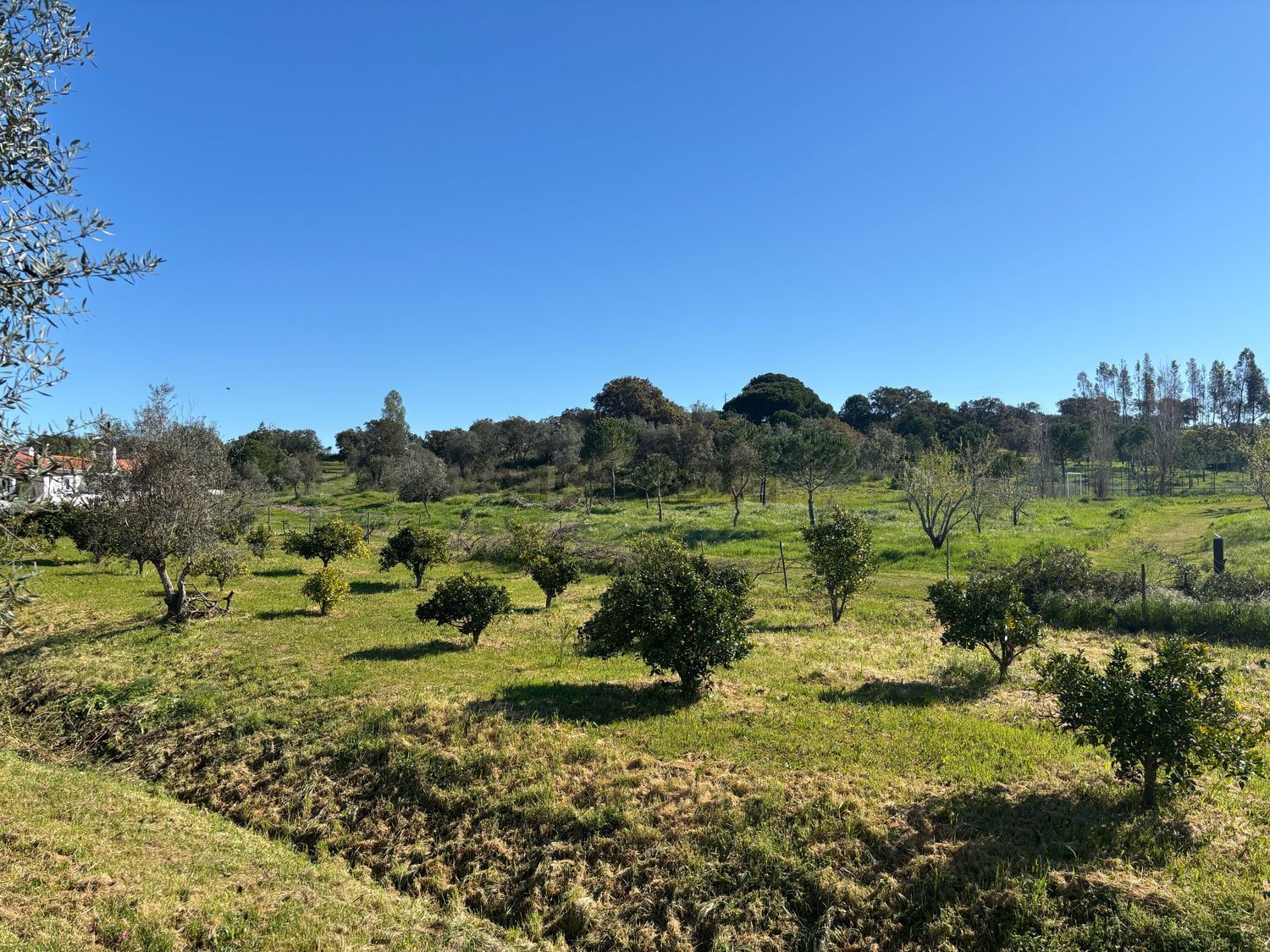 联排别墅出售在Estrada N253 s/n - 环境