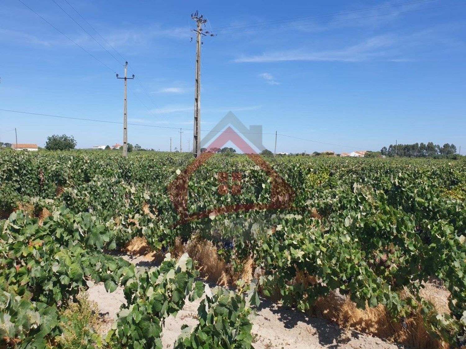 庄园出售在Largo da Fonte - 花园