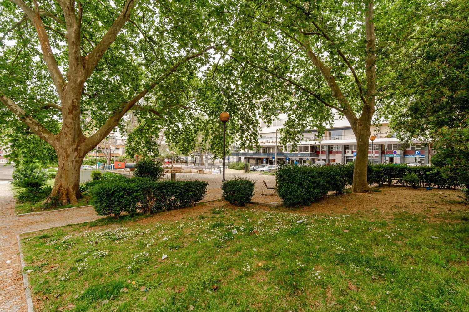 公寓 t3出售在Praça Rainha Santa - 花园