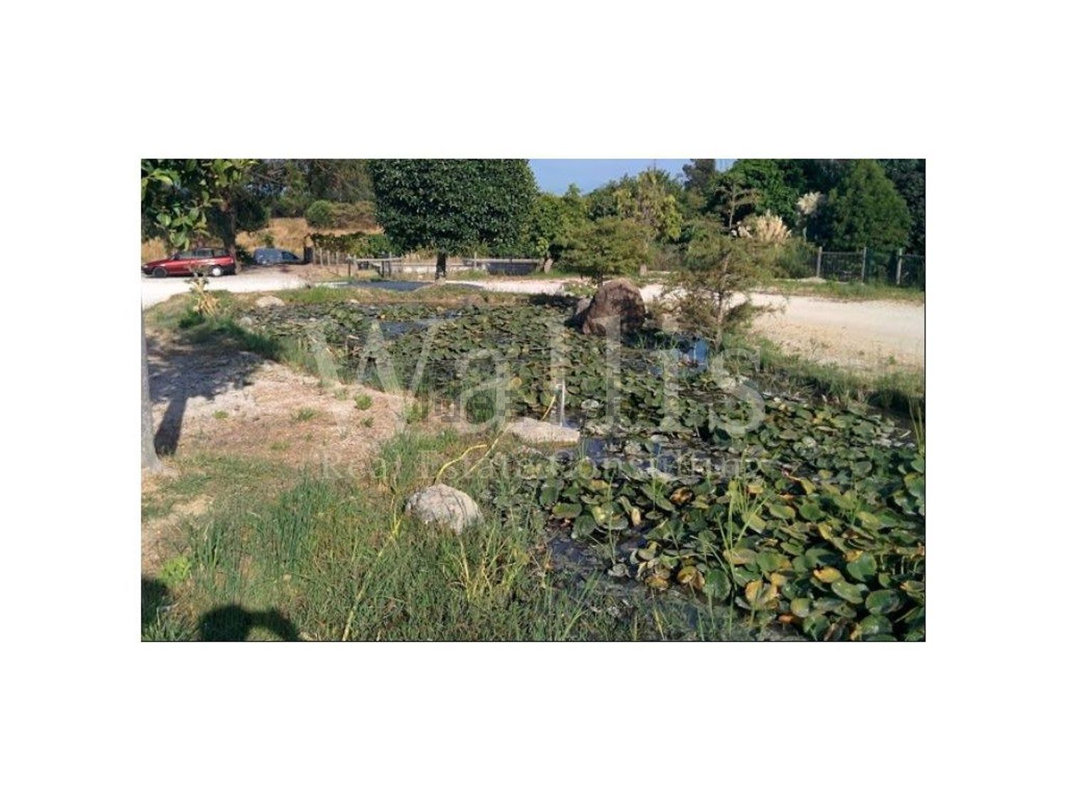 庄园出售在Almada - 花园