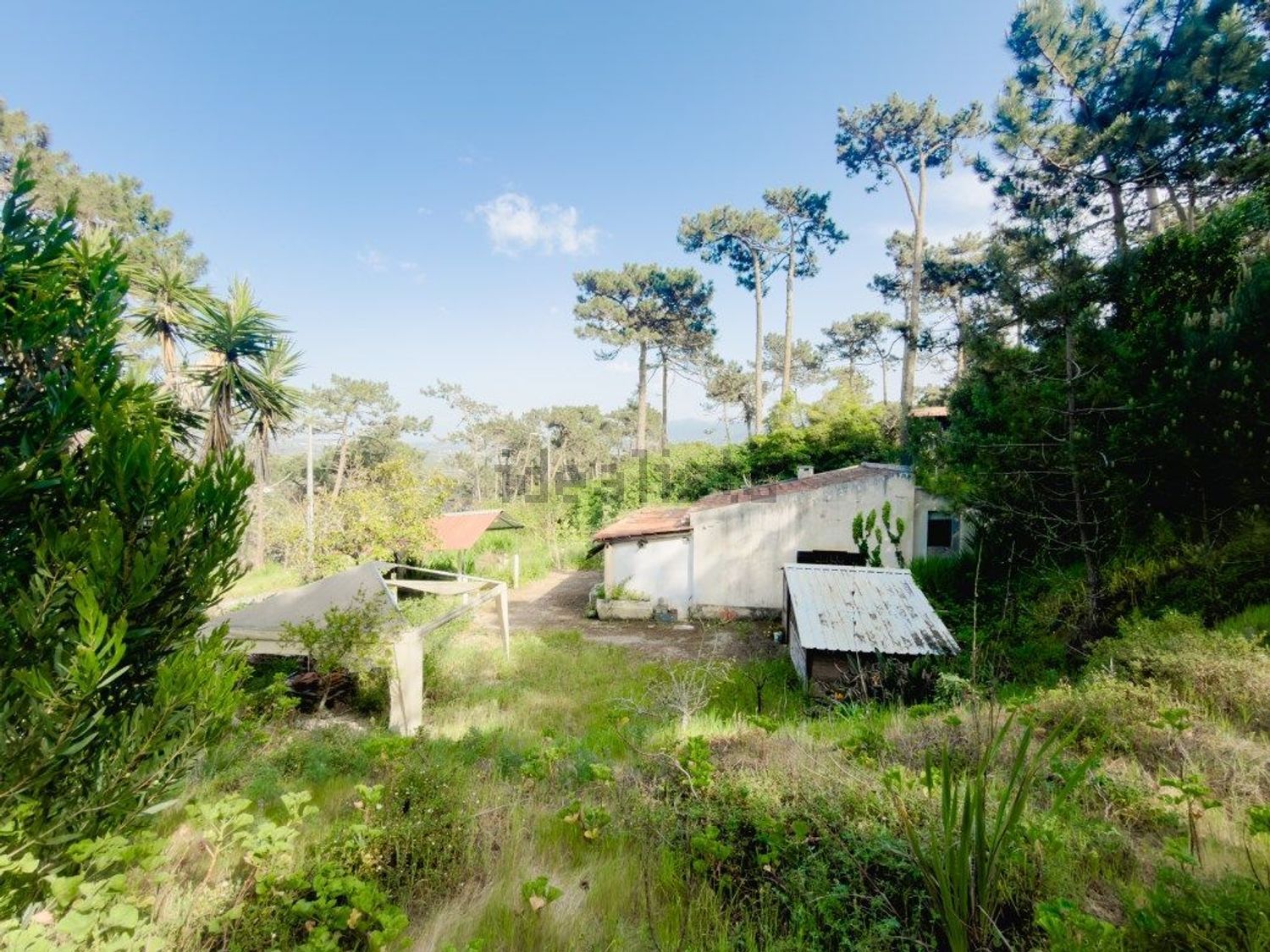 小楼房或独栋别墅出售在Rua do Cabeço do Barro - 花园