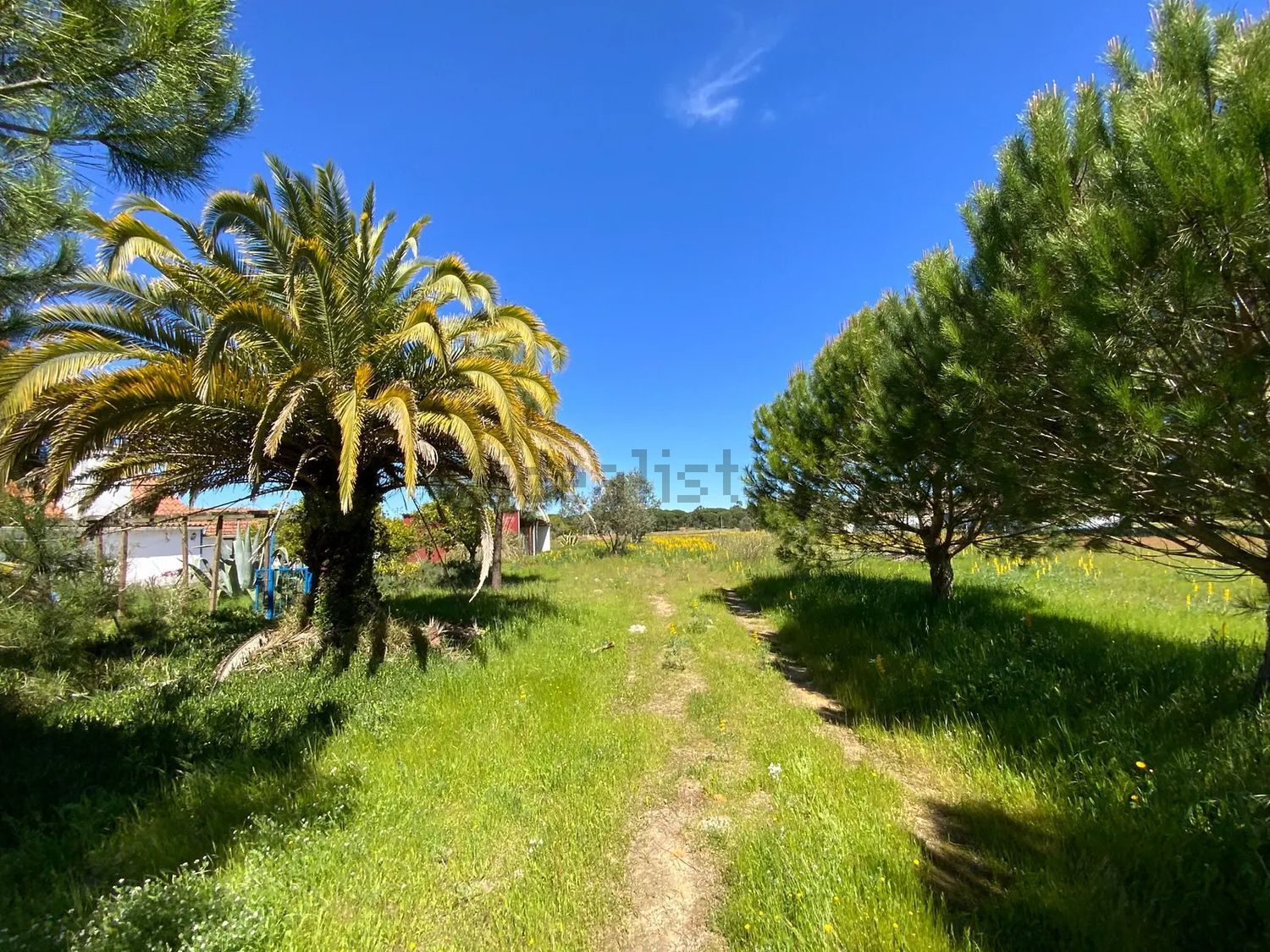 小楼房或独栋别墅出售Grandola - 花园