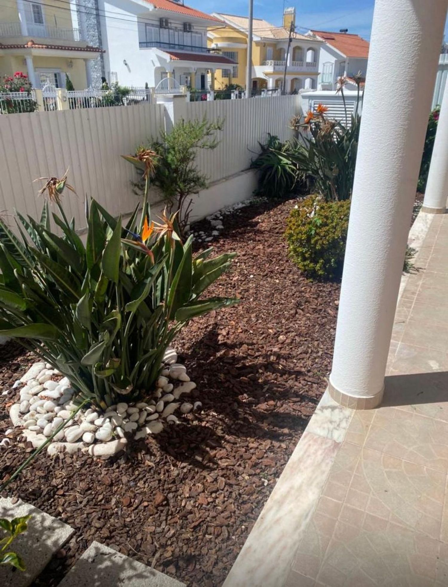 小楼房或独栋别墅出售在Vale Figueira - Carcereira - 花园