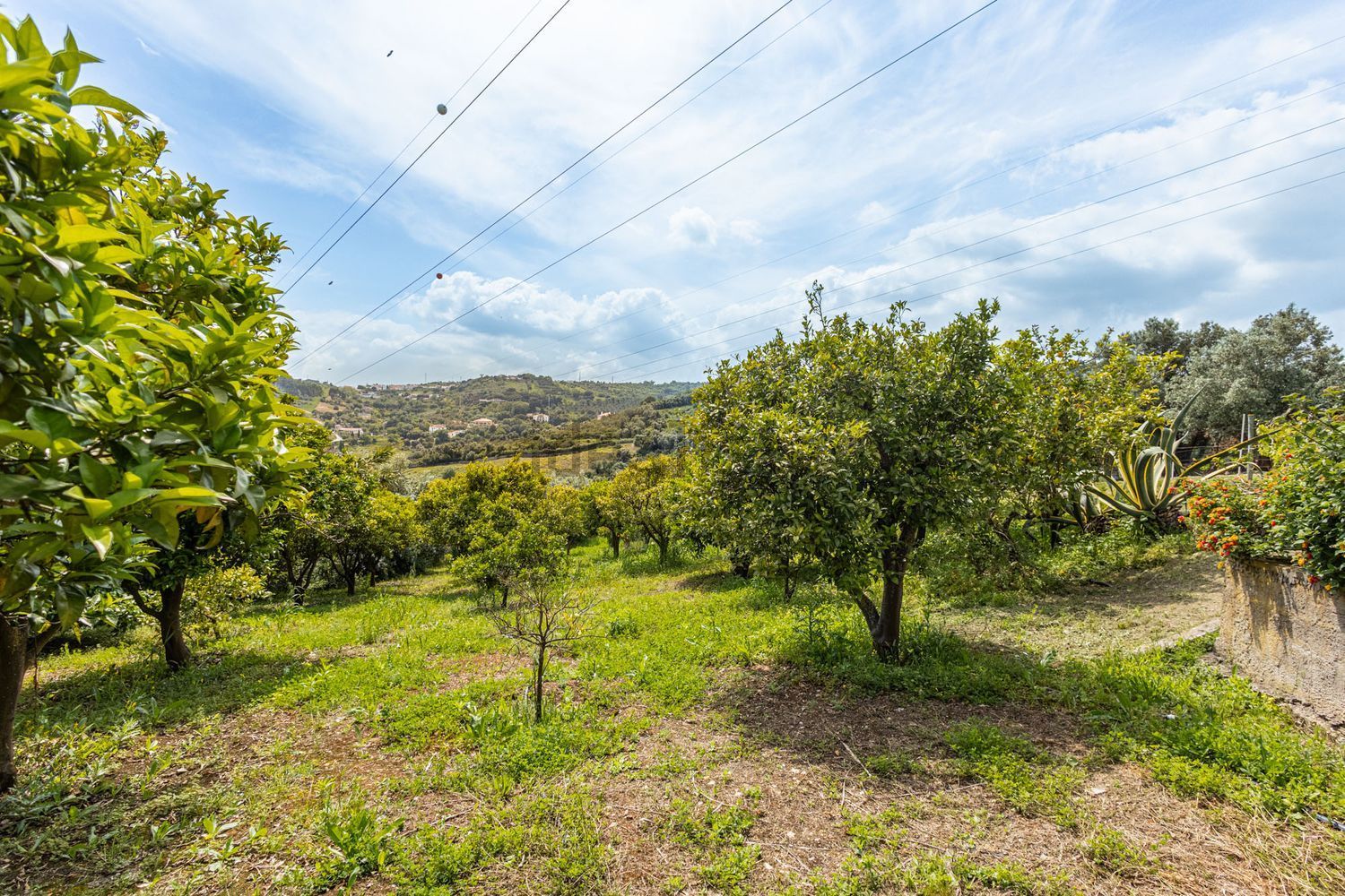 小楼房或独栋别墅出售Estr. da Serralheira de Baixo - 视线