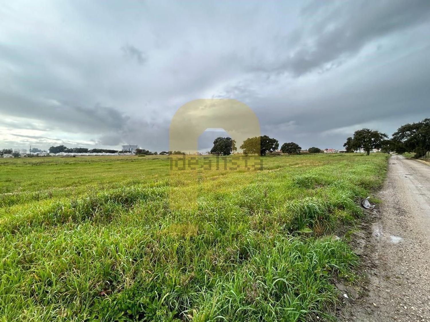 庄园出售在Atalaia e Alto Estanqueiro - Jardia - 花园