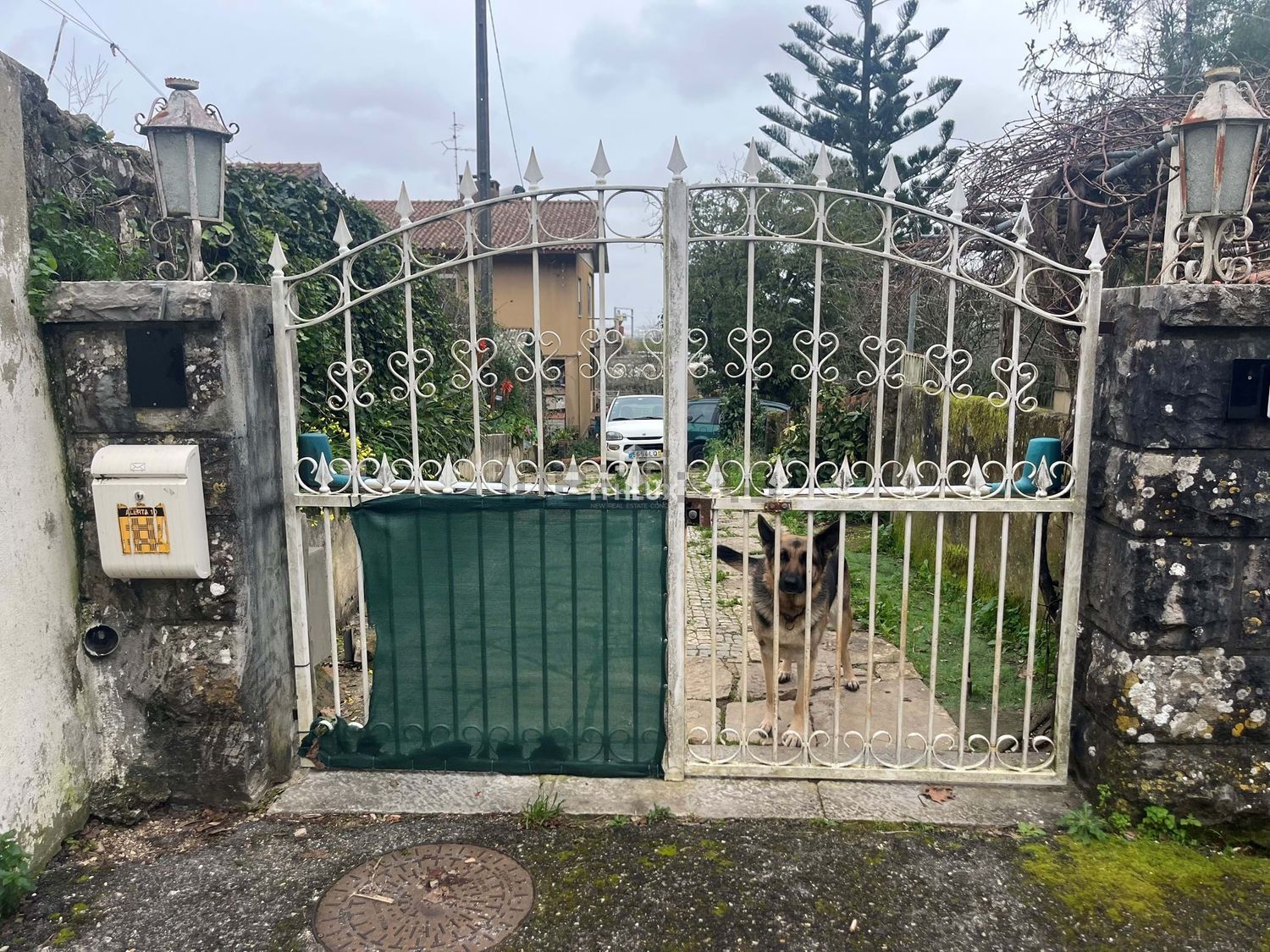 庄园出售在São Pedro de Penaferrim - 照片