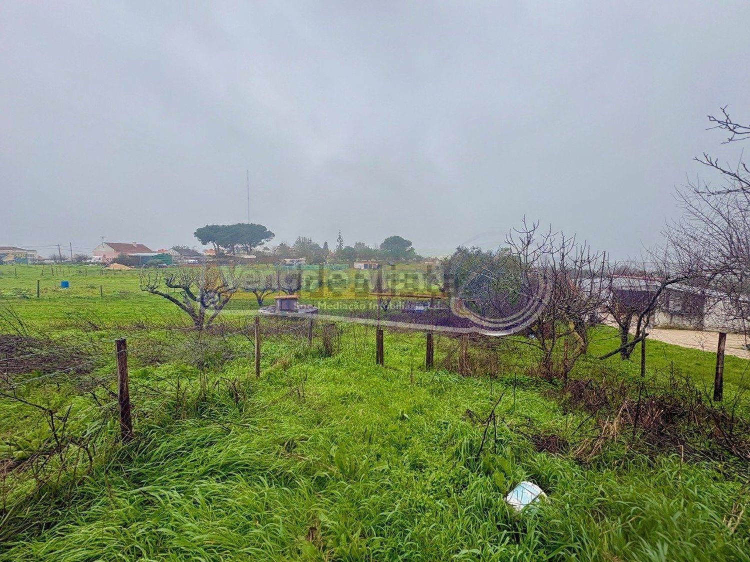 庄园出售在Vila Franca de Xira - 花园