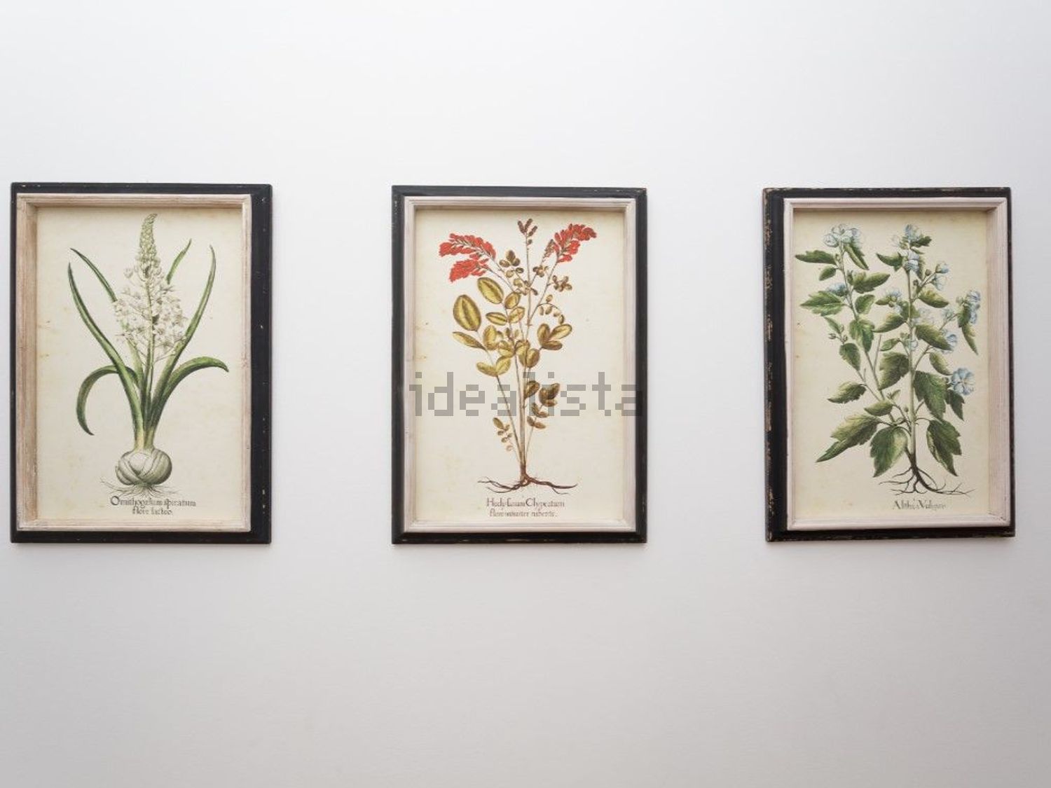 出租公寓 t2在Rua Francisco Rodrigues Ferreira, 7 - 照片