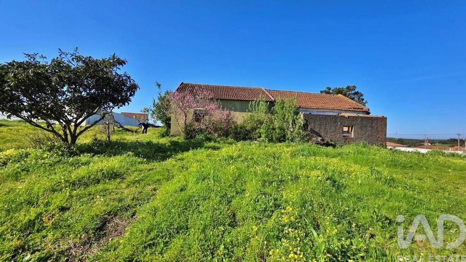 小楼房或独栋别墅出售在Lamas e Cercal - 外立面