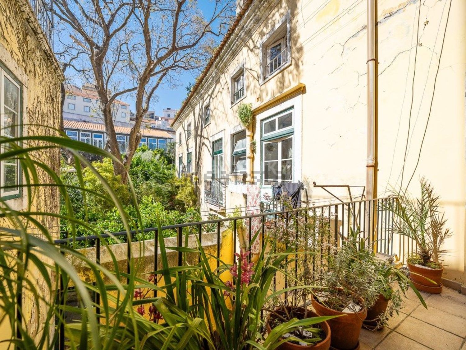 公寓 t6出售在Graça - 露台