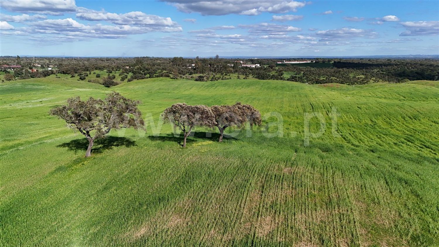 庄园出售在Abela - 花园