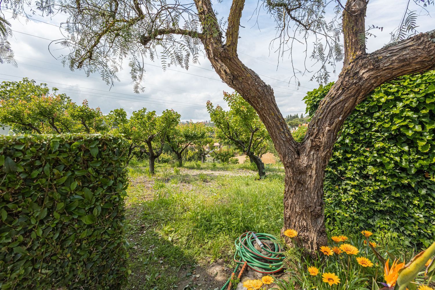 小楼房或独栋别墅出售Estr. da Serralheira de Baixo - 花园