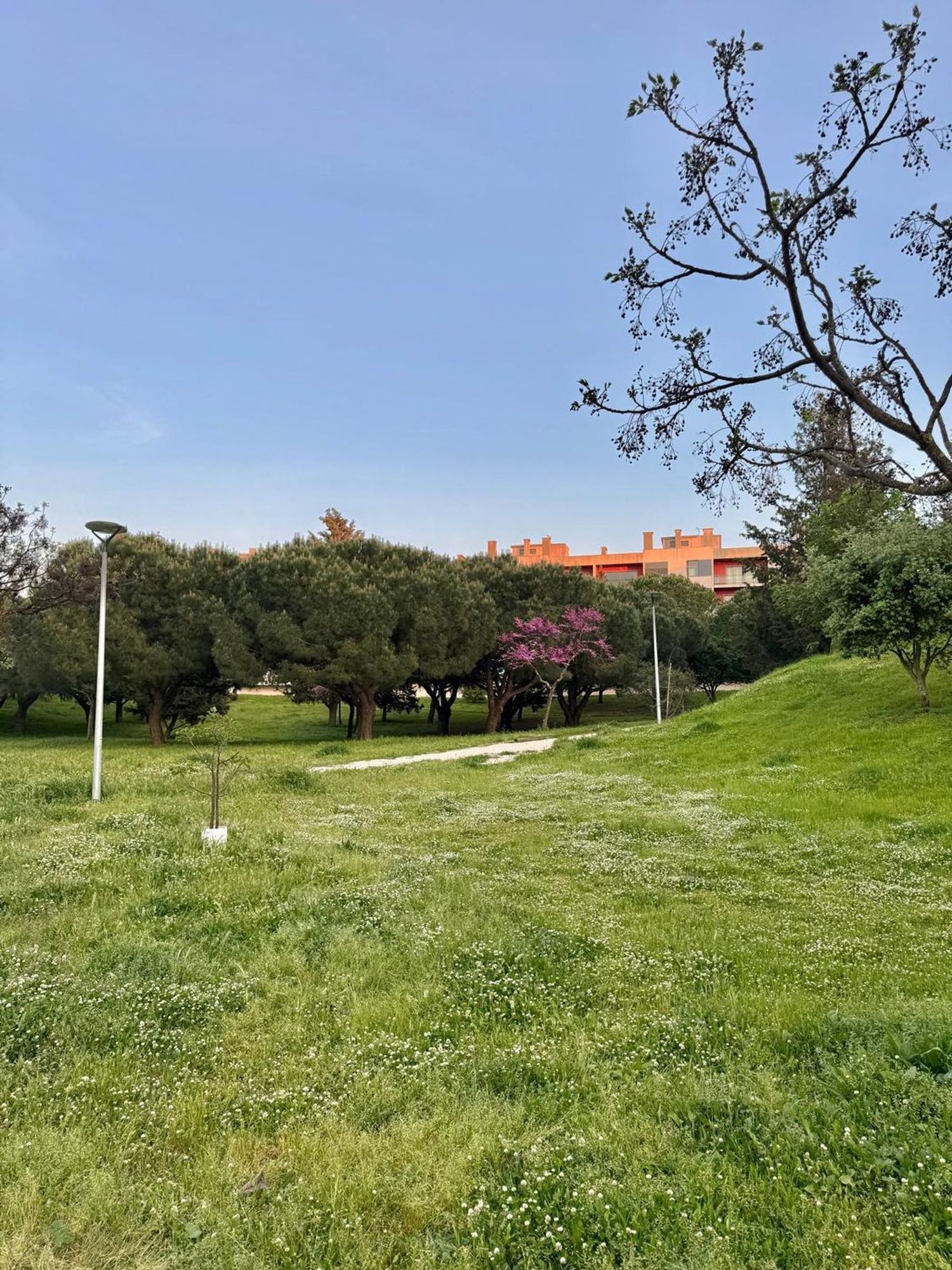 出租公寓 t3在Praceta Francisco Pulido Valente - 花园