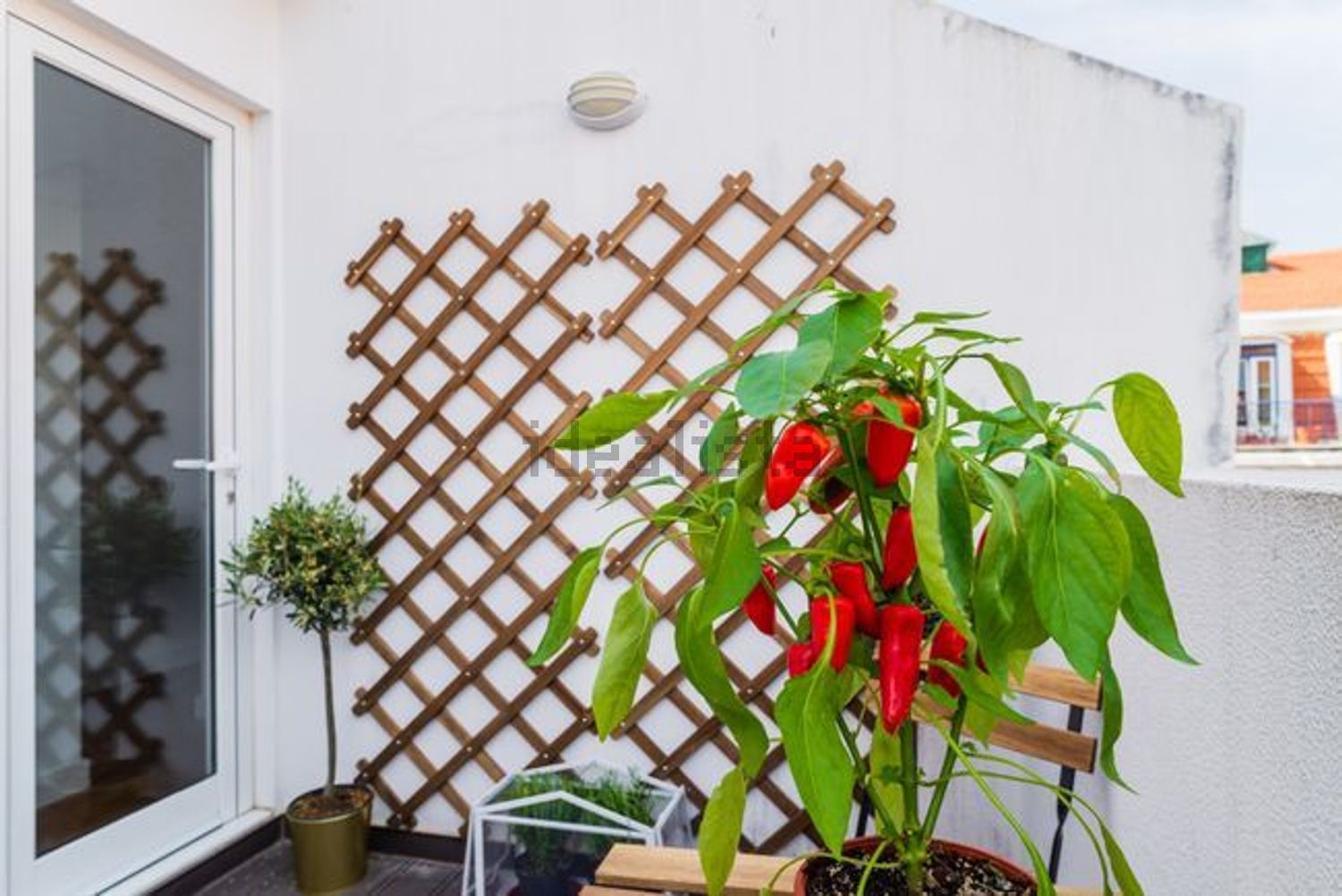 公寓 t2出售在Rua do Poço dos Negros - 阳台