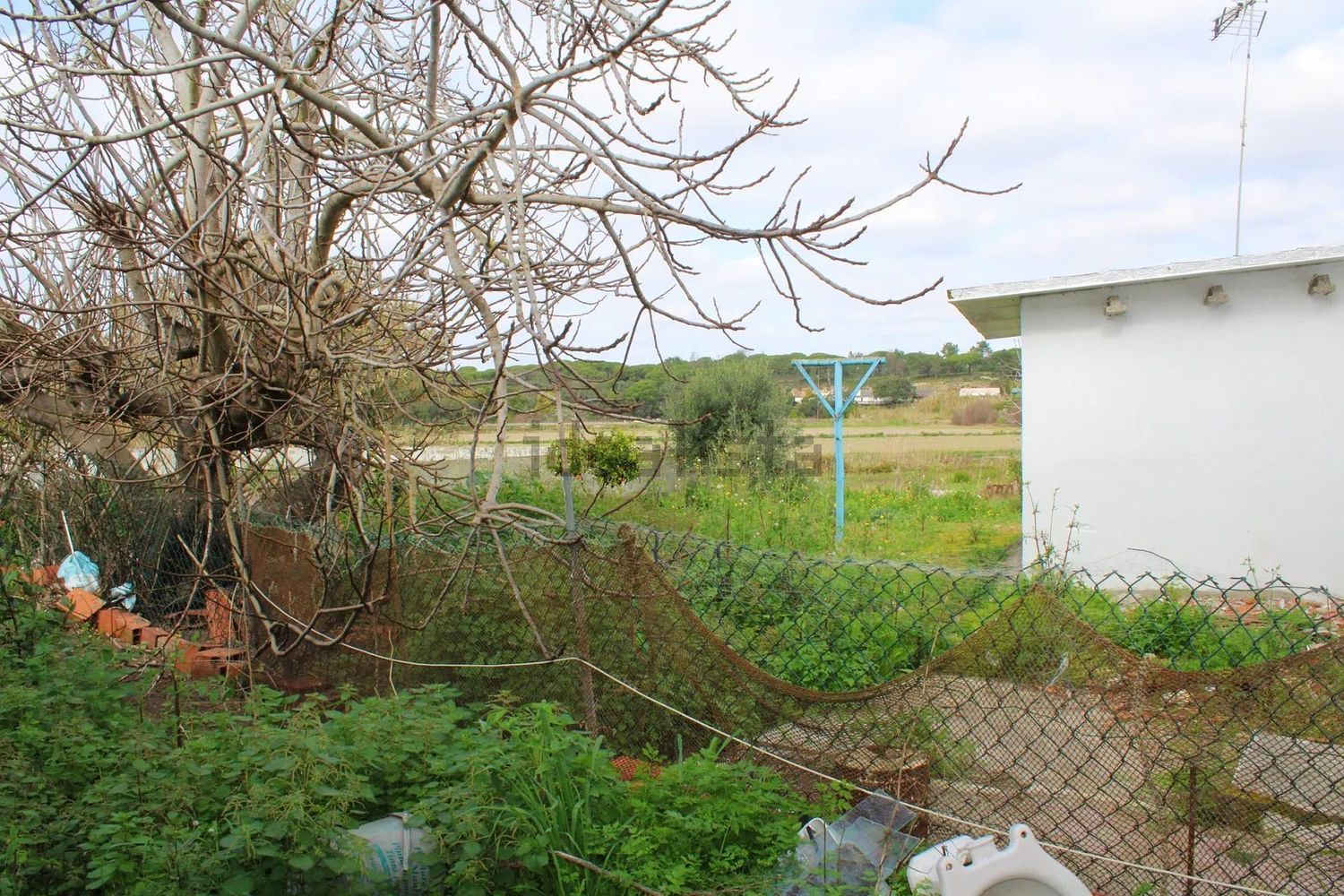 小楼房或独栋别墅出售carvalhal - 花园