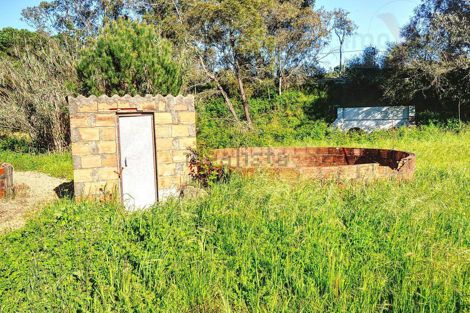 庄园出售在Melides - 花园