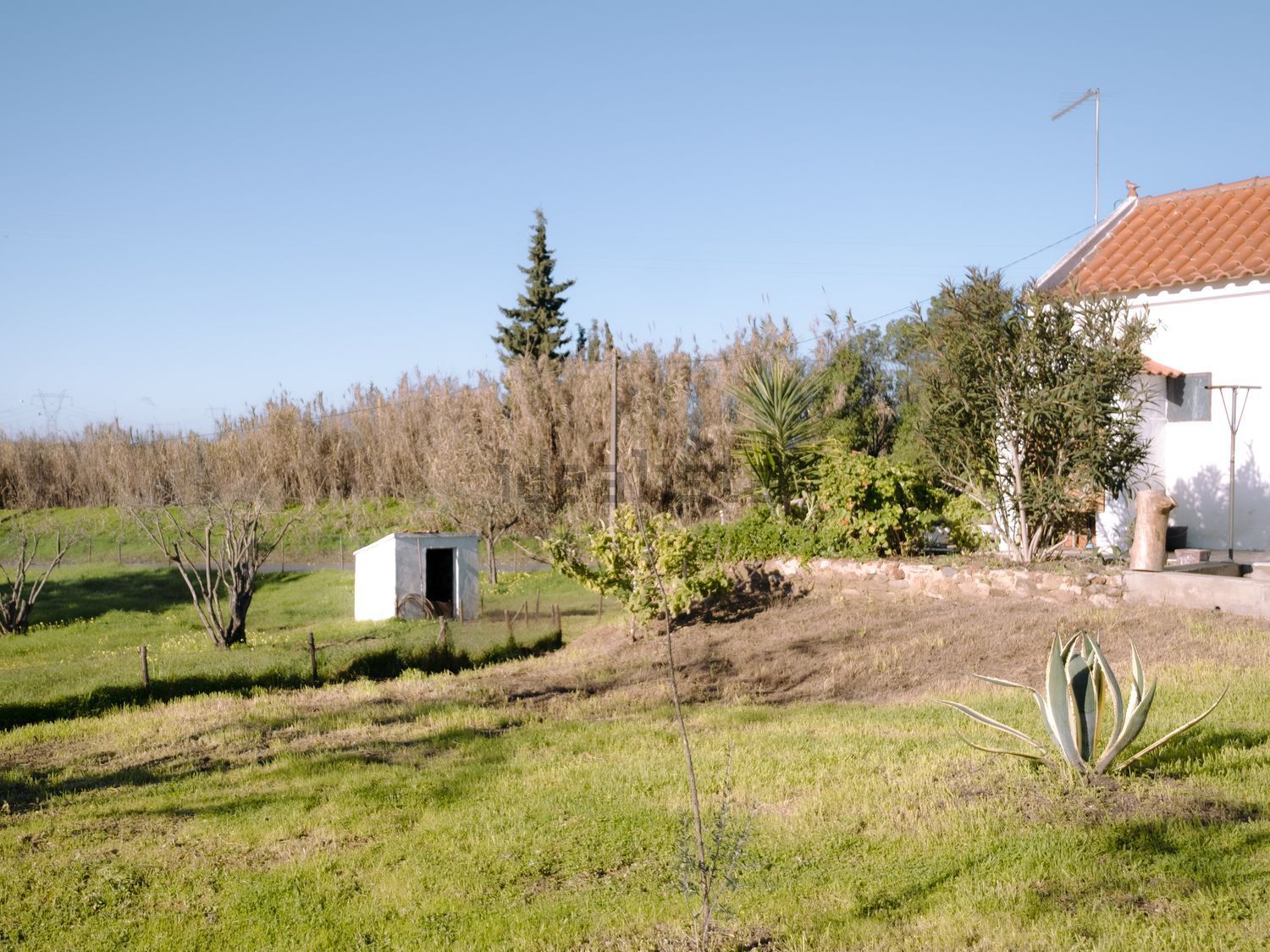 小楼房或独栋别墅出售Monte Forinho - 花园